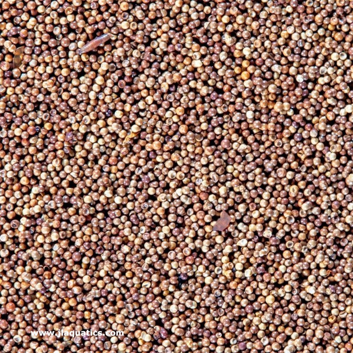San Francisco Bay Brand Brine Shrimp Eggs - 2.75oz close-up of brine shrimp eggs