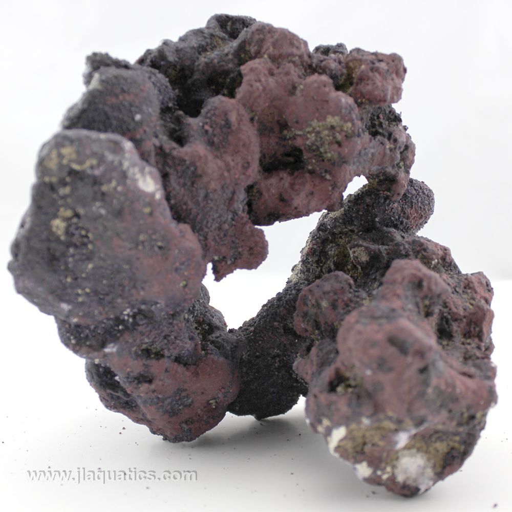 Caribsea LifeRock Shapes Donut