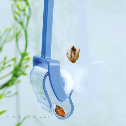 Dennerle Snail Catcher catching freshwater snails in a planted aquarium