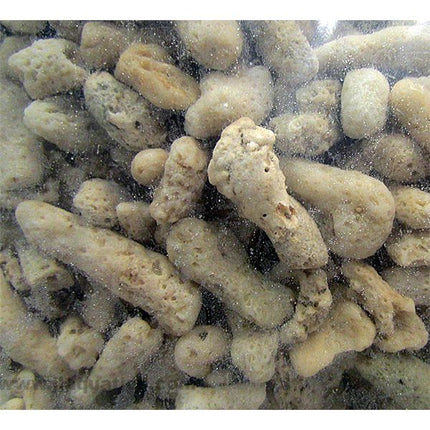 Two Little Fishies ReBorn Coarse Reactor Media - 4KG