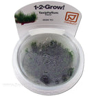 Tropica Taxiphyllum top view in packaging