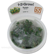 Tropica Aquarium Plants Freshwater Plants