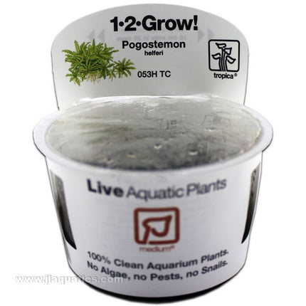 Tropica Aquarium Plants Freshwater Plants