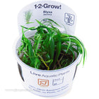 Tropica Aquarium Plants Freshwater Plants