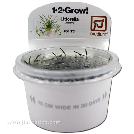 Buy Tropica Littorella uniflora 1-2-Grow! Aquarium Plant at www.jlaquatics.com