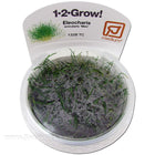 Buy Tropica Eleocharis acicularis (Mini) 1-2-Grow! Aquarium Plant at www.jlaquatics.com