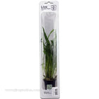 Buy Tropica Potted Microsorum pteropus Plant (Narrow) at www.jlaquatics.com