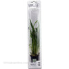 Buy Tropica Potted Microsorum pteropus Plant (Narrow) at www.jlaquatics.com