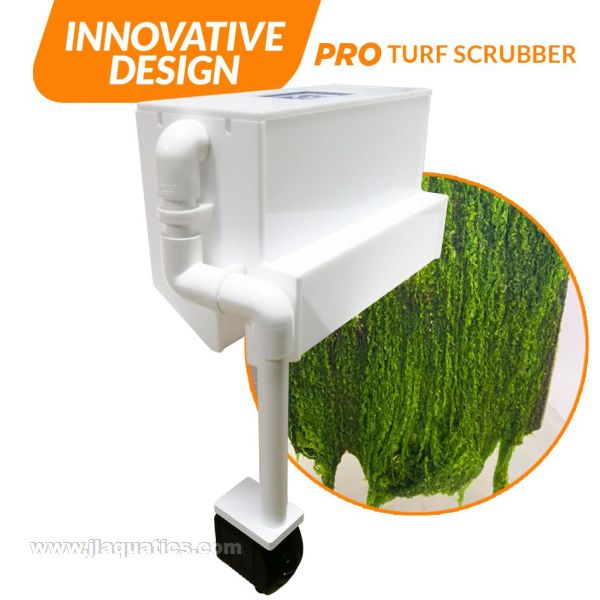 IceCap 50 PRO Hang On Back Turf Scrubber overview with algae it has produced in a saltwater reef aquarium.