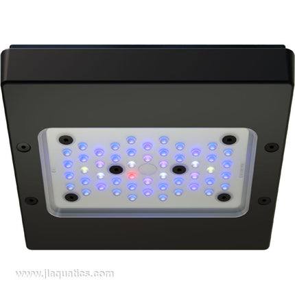 Ecotech Radion G6 XR15 Blue LED Light