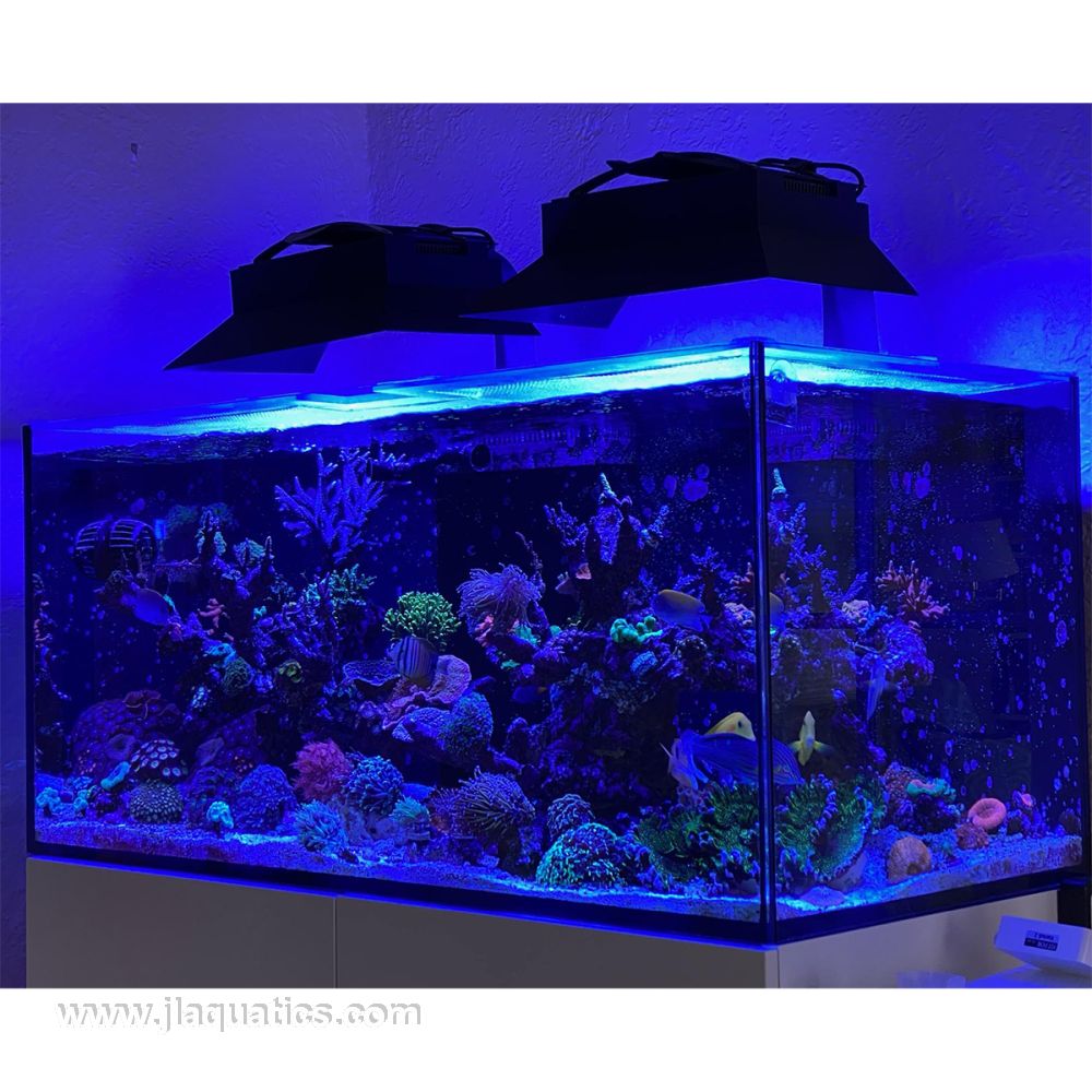Ecotech XR30 45d 3 Side Light Spill Shade - 5 Inch over a reef tank