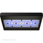 Ecotech Radion G6 XR30 Blue LED Light