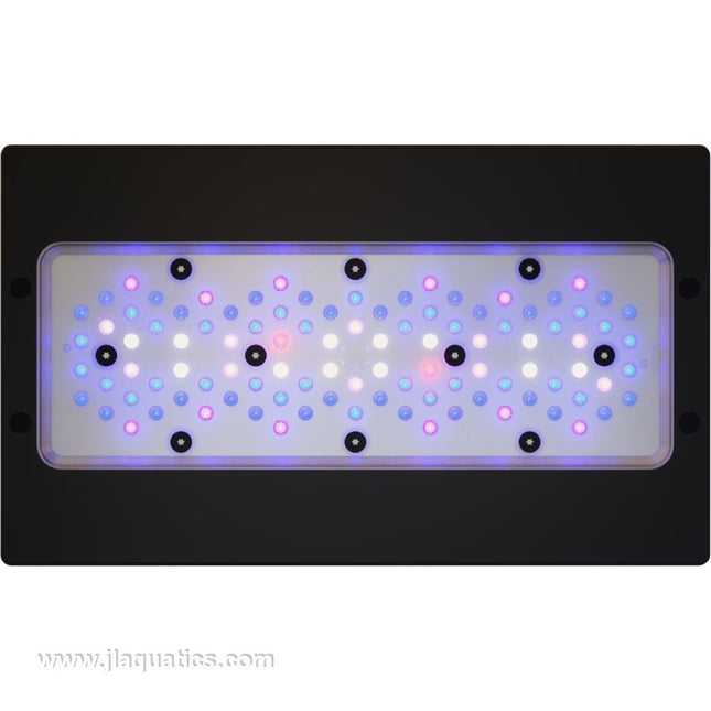 Ecotech Radion G6 XR30 Blue LED Light  led layout