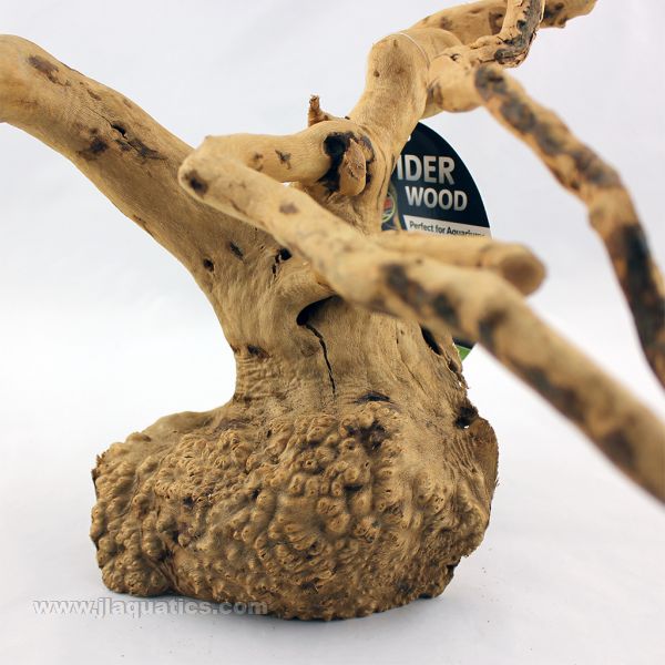 Spider Wood from Zoo Med - Medium size - close up of base