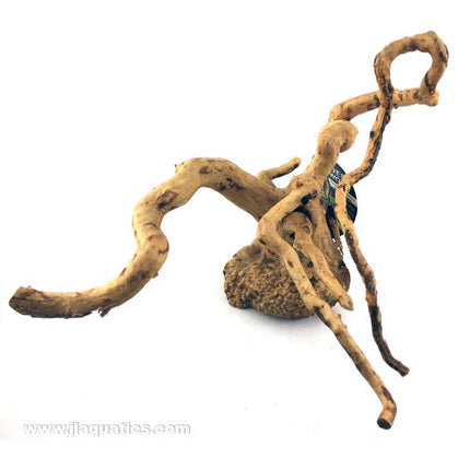 Spider Wood from Zoo Med - Medium size - shape #2