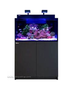 Red Sea Max Nano  G2 XXL and Black Cabinet