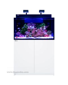 Red Sea Max Nano  G2 XXL and White Cabinet